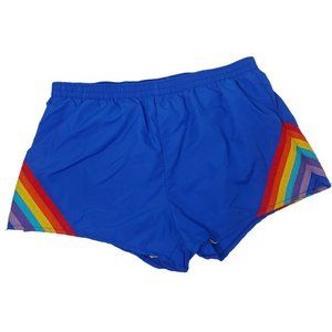 Vintage JC Penney Men Large Swim Trunks Rainbow Stripe Blue Pride READ Flawed